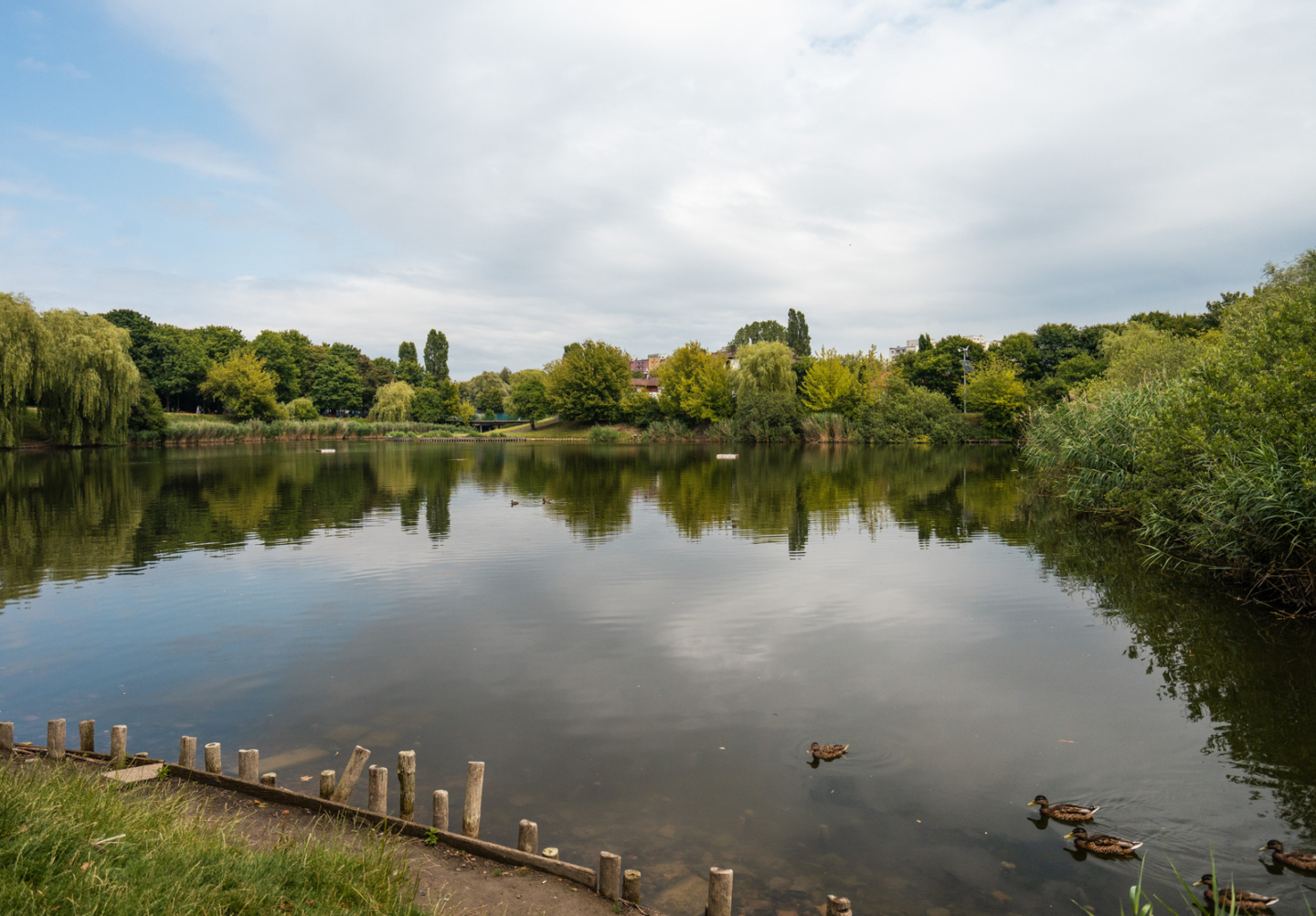 Mieszkanie – Mazowieckie – Warszawa – 1670/7447/OMS