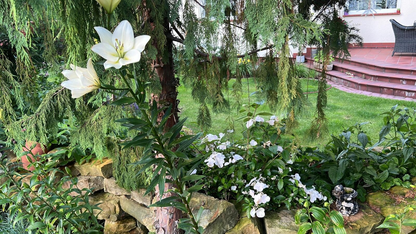 Dom – Mazowieckie – Ustanów – 458/7447/ODS