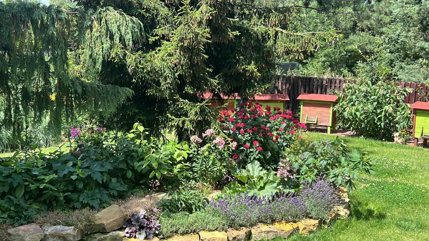 Dom – Mazowieckie – Ustanów – 458/7447/ODS