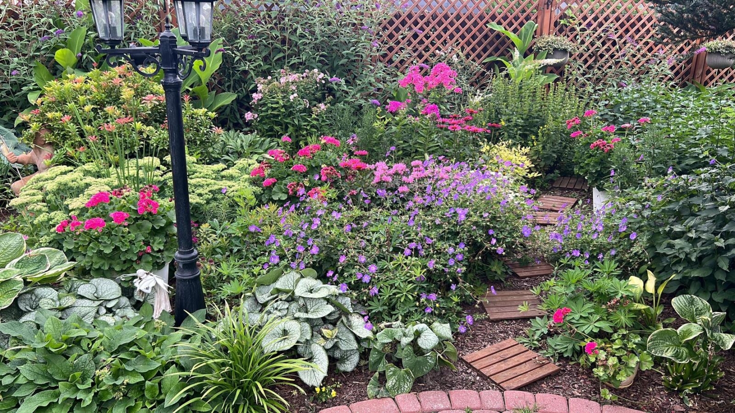 Dom – Mazowieckie – Ustanów – 458/7447/ODS