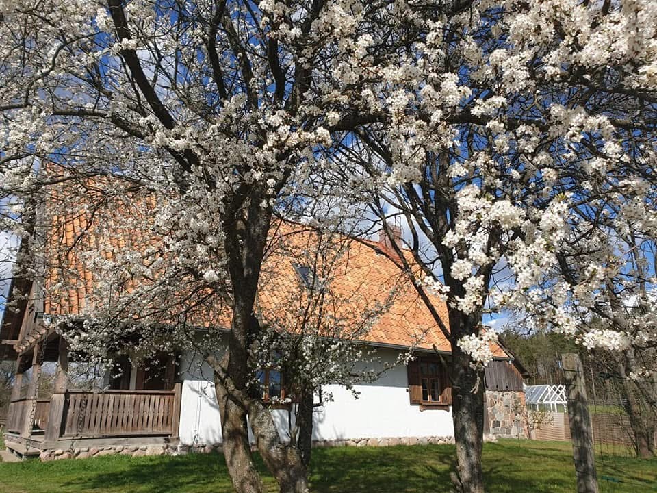 Dom – Warmińsko-Mazurskie – Surmówka – 484/7447/ODS